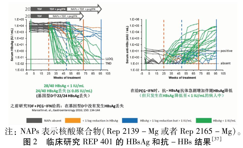 乙肝在研新药gsk836临床数据公布,抗乙肝新药hh-003二期临床招募