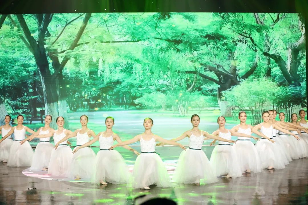 第四届全民广场舞大赛总决赛,佛山市第三届广场舞总决赛