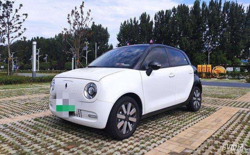 小蚂蚁跟欧拉黑猫哪个安全,小蚂蚁欧拉黑猫长安奔奔哪个好