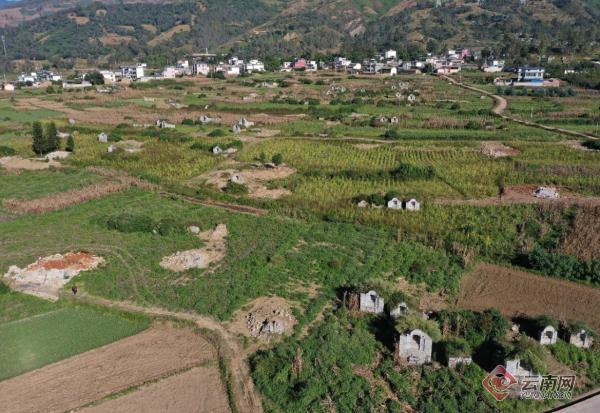 三沿六区坟墓整治禁葬通告,临沧市三沿六区坟墓整治公告