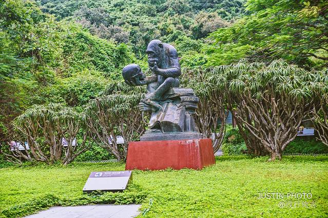 海南环岛旅行需要多少天,去海南过冬天去哪里最好