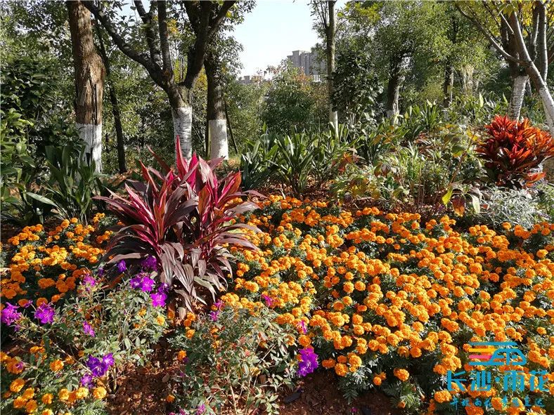 一起感受公园带来的惬意时光吧,漫步湿地公园享受周末好时光