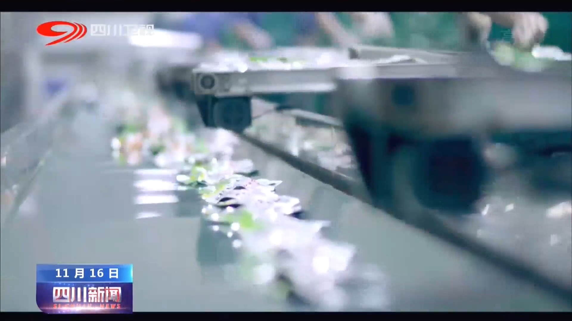 四川眉山泡菜食品博览会,第十二届四川泡菜国际博览会