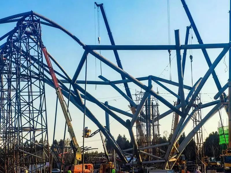 【提示】两棵“大树”迎宾！花博园主入口大门钢结构吊装完成