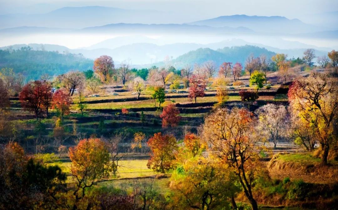 最美乡村游推荐湖北,10条线路村游湖北