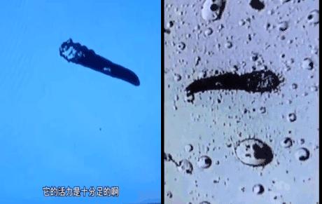 火遍全网的生发养发防脱固发,去屑止痒防脱养发