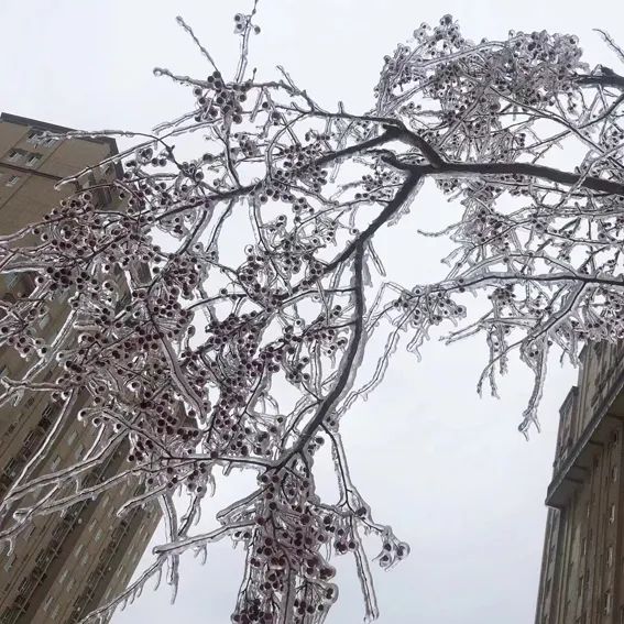 延边滑雪东北已率先进入雪季,延边开启滑雪季快来嗨翻冬天