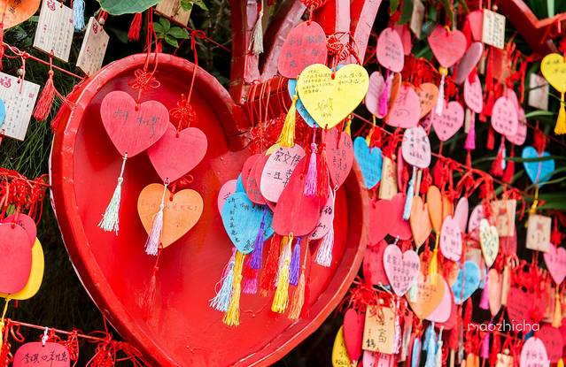 五天四晚三亚自驾,五天四晚三亚旅游路线