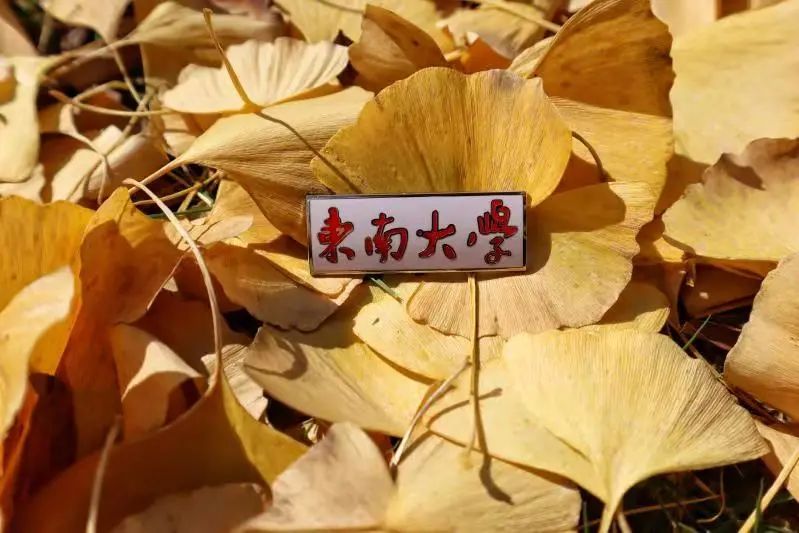 清北现在的情况,清北最新消息