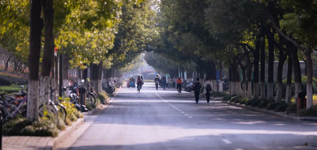 清北现在的情况,清北最新消息