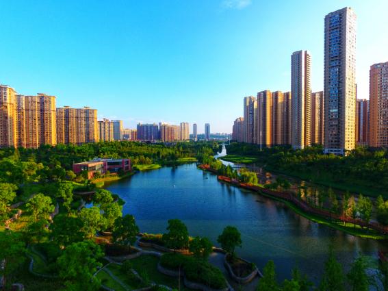 建设“精美长沙”,雨花人在向前冲