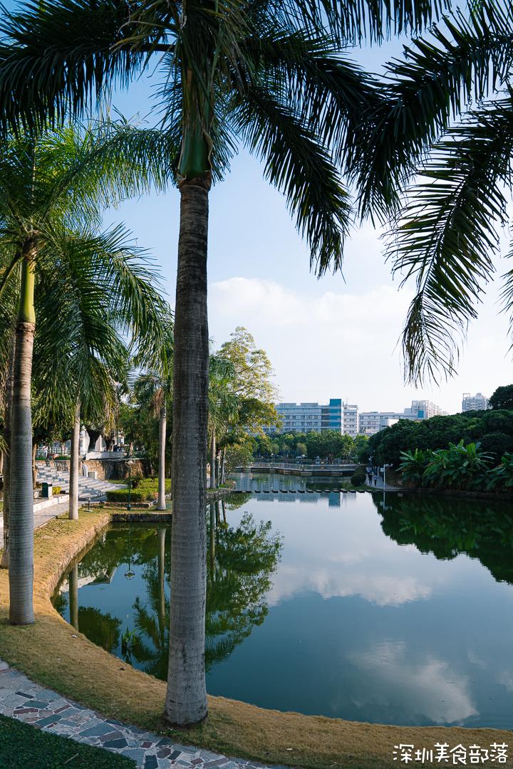 深职院，真的太太太太太好吃了