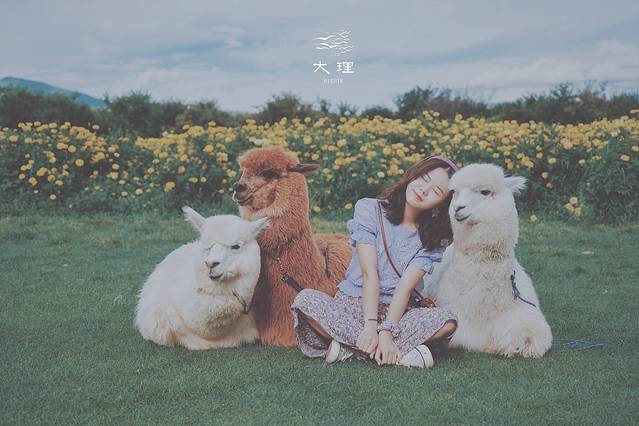 长沙自驾去大理多少钱,生活需要惊喜自驾直奔大理