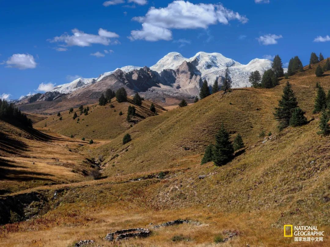 为什么要去稻城亚丁,为什么一定要去理塘