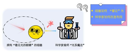 细菌“光系魔法”助力手机智能医疗