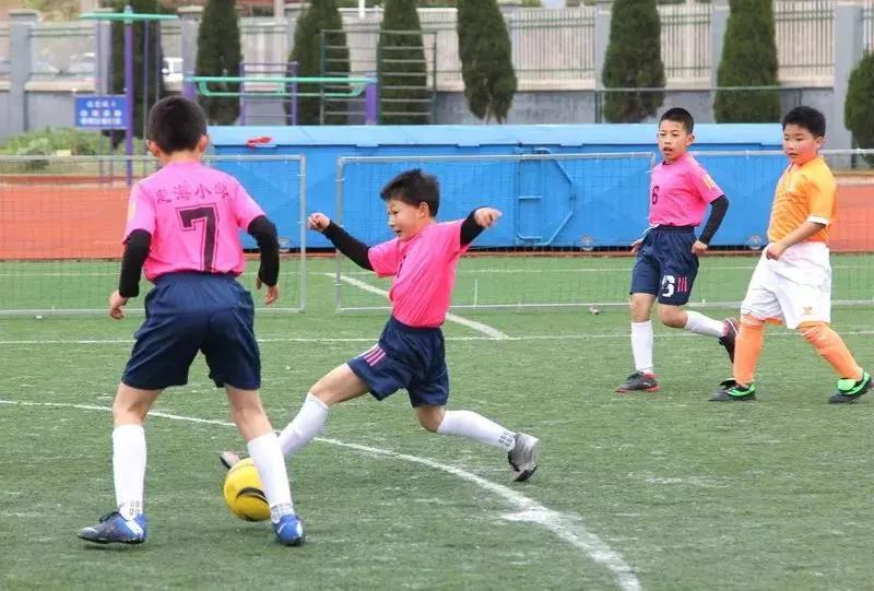 舟山小学亮相,浙江省舟山市城西小学体育