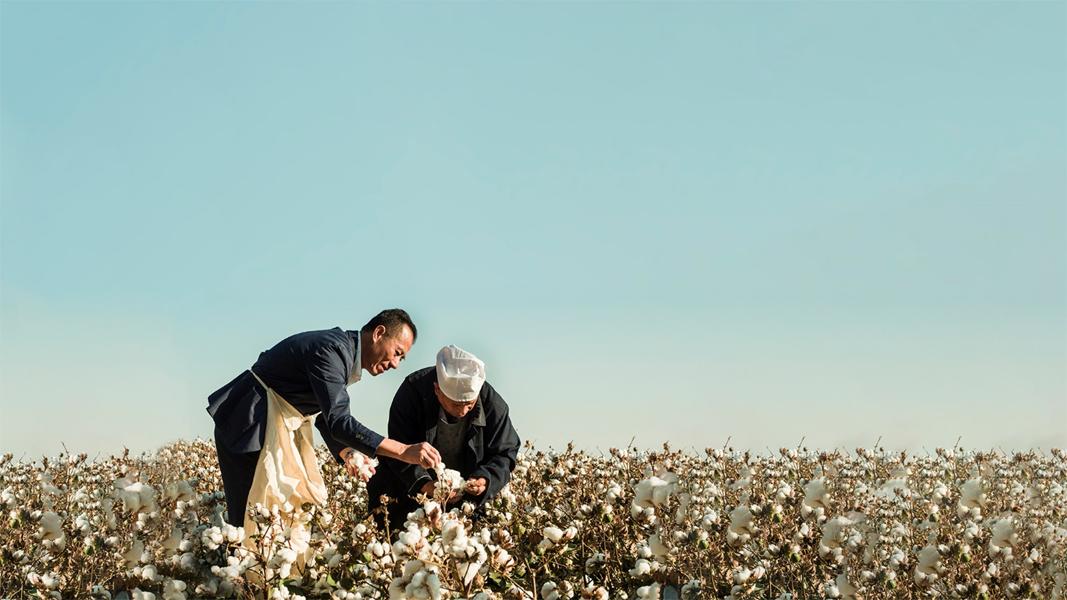 稳健医疗李建全,稳健医疗李建全浠水哪里人