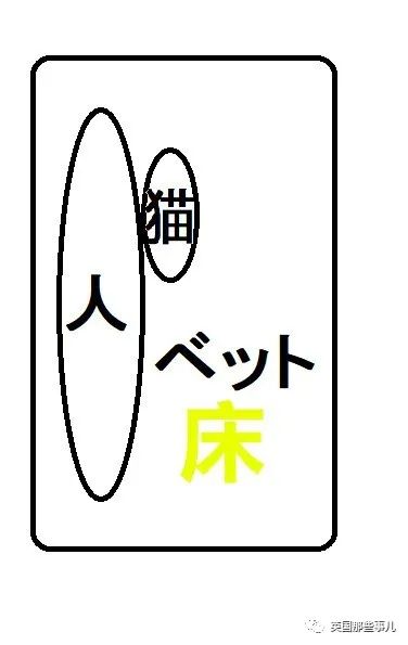 多猫家庭猫咪也会尿闭吗,多猫家庭为什么不能洗澡