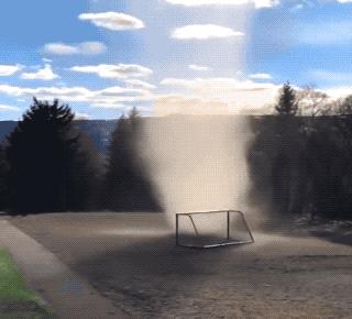 林子大了什么鸟都有下一句是什么,林子大了啥鸟都有讽刺图片