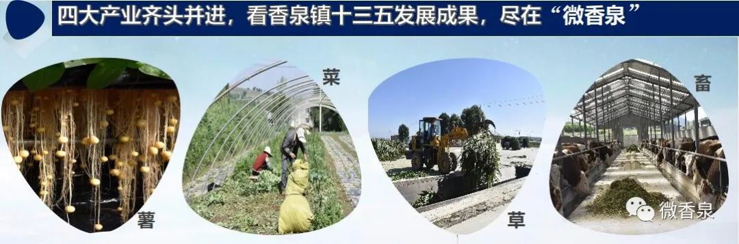 乡镇2020年司法行政工作汇报,2022年街道司法所工作总结