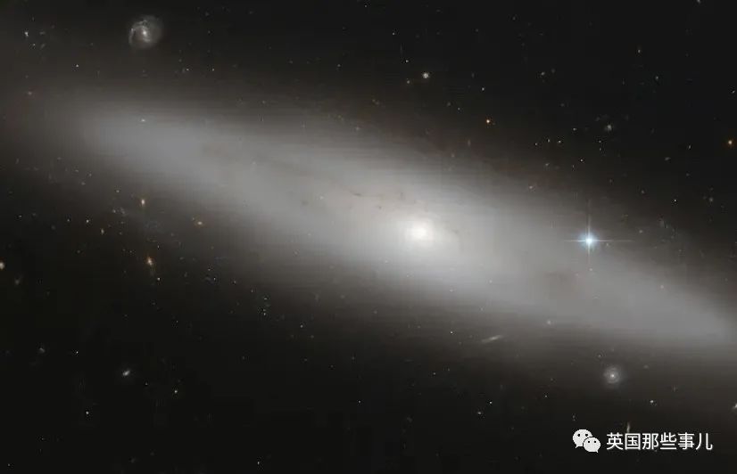 前军方学者爆料川普即将公开外星人存在?!网友：喝多了？