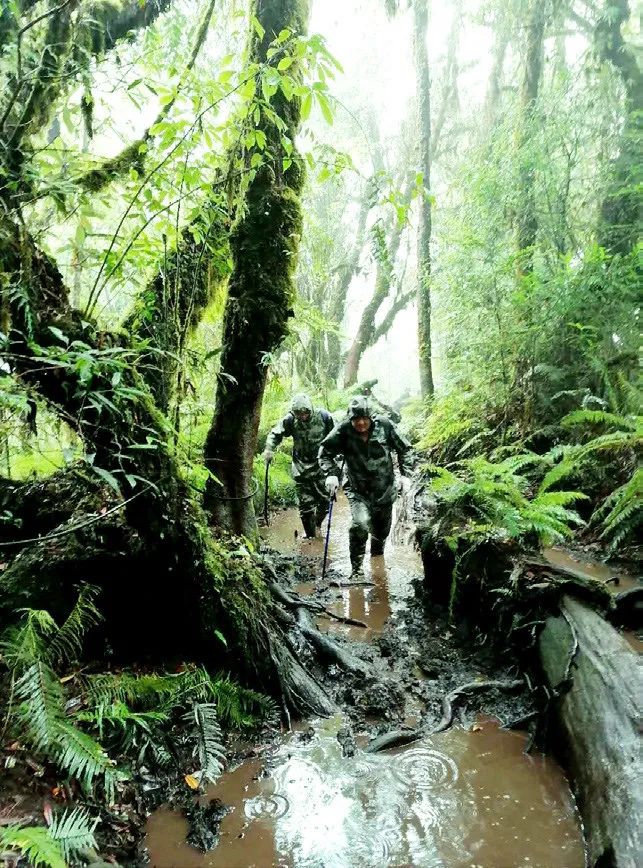 AR-500“家族”这一年不仅是让边防将士喝上新鲜牛奶