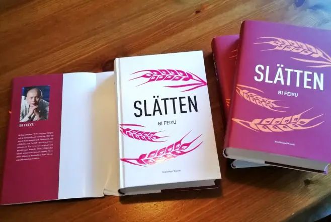 从国外翻译过来的书籍有哪些,关于翻译的外文书籍有哪些