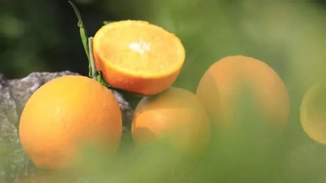 冬天感受阳光的味道,冬天到凉山