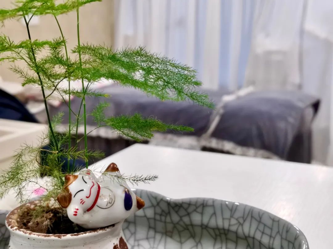 爽到飞起!扬州这家养生馆要被约爆!肩颈经络疏通、全身排湿排寒,谁来谁知道