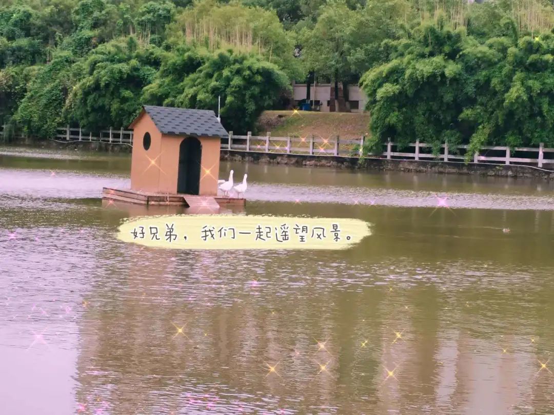 江西科技师范大学理工学院贴吧,再见了江西科技师范大学