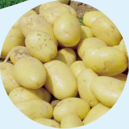 投资巴林,投资热土创业项目