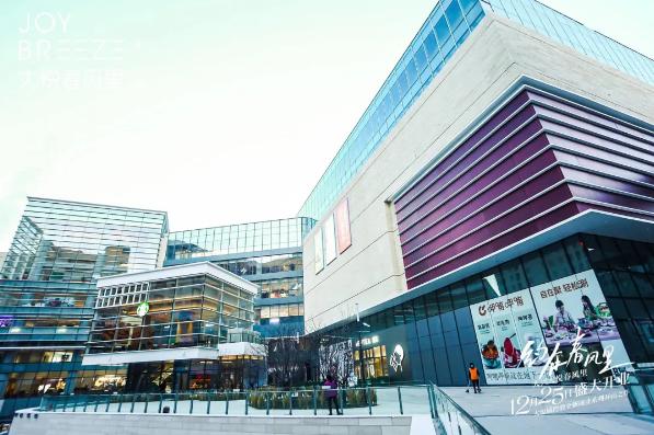 大悦城开业首年与未来展望,大悦城商业发展战略