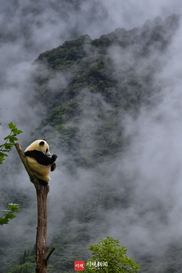 视觉四川年终盘点6｜何海洋：2020年，我努力用镜头“看见”大家的努力