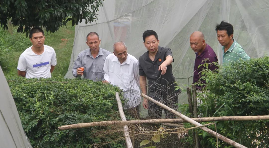 最高人民法院发布典型案例,最高人民法院最新发布典型案例