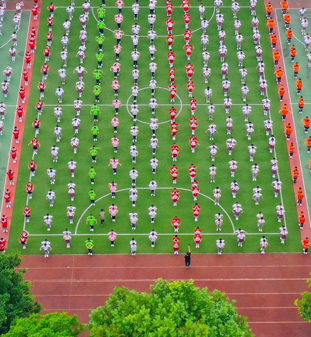 红领行动学校党建品牌创建方案,红领行动