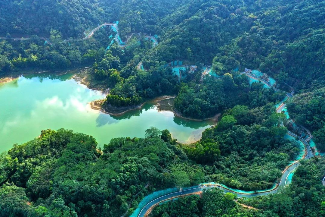 大浪街道拍了拍“你”，并递上2020成绩单