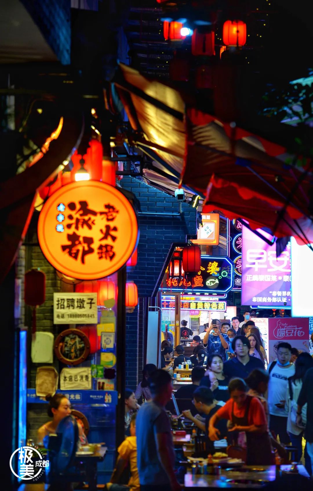 节日荐书③：成都生活的印象