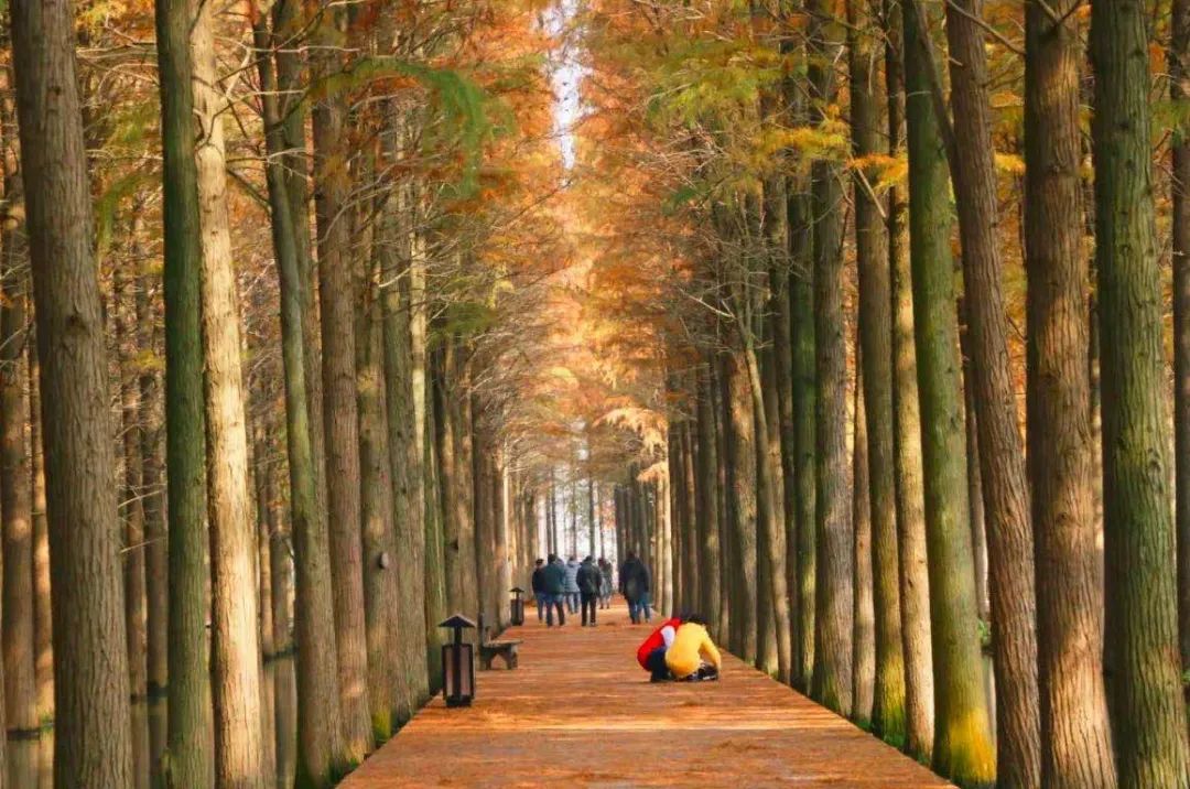 2021元旦假期收官，湖北各市州文旅市场情况综述