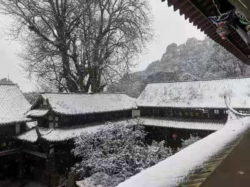 青城山什么时候去有雪,太美了难得一见的雪景