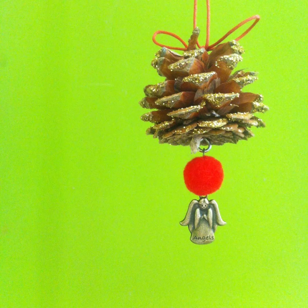 科普植物的用处,科普植物活动