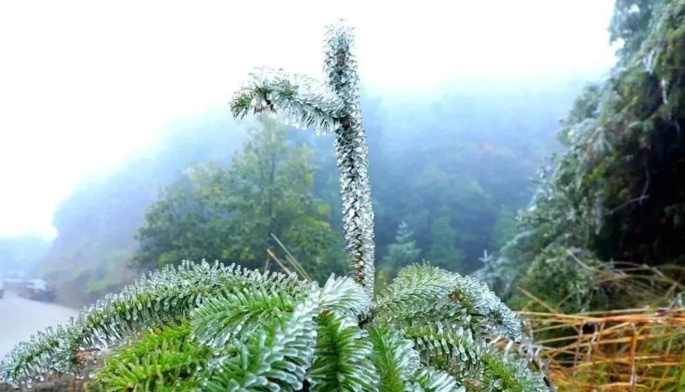 北海市11月8日气温,北海12月每日天气预报