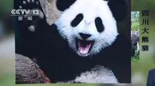 测一测你成为学霸的几率是多少,测一下你是学霸还是学渣的题