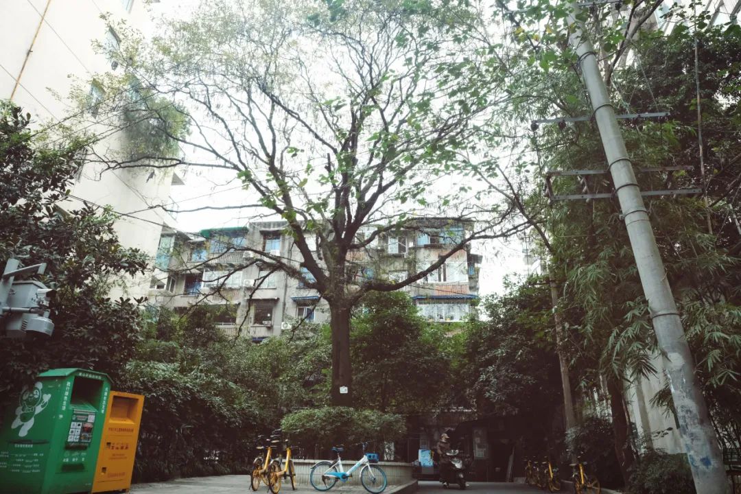 宽窄巷子附近有一条什么街,宽窄巷子旁边的小巷子