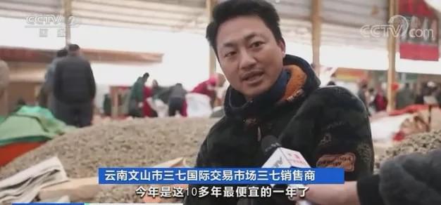 今日文山三七跌了吗,文山三七第一次价格暴涨是哪年