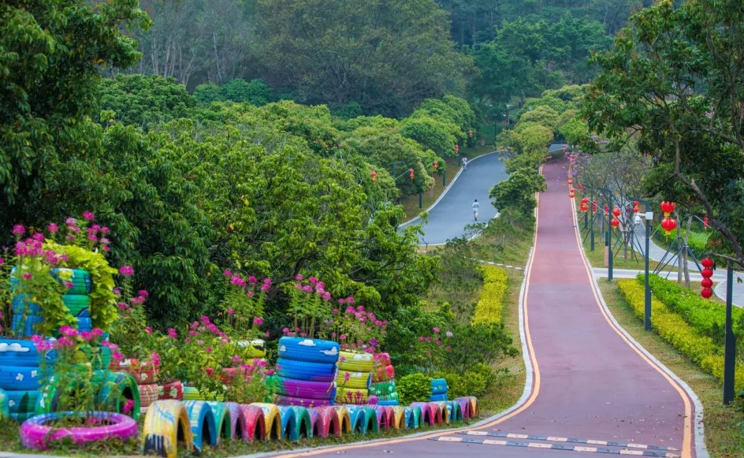 深圳值得打卡拍照的地方10月份,深圳绝美打卡地三月份