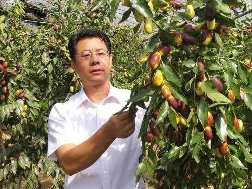 陕西最美科技工作者公示,榆林市第一届最美科技工作者