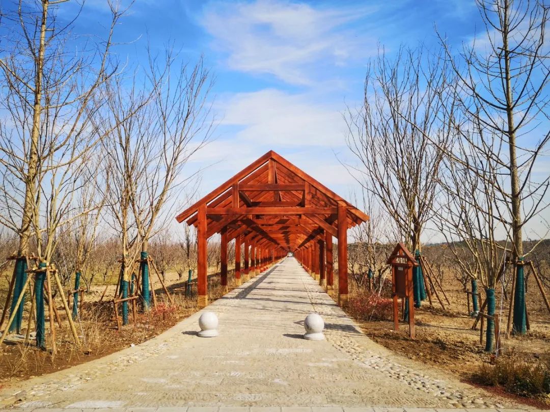 春节特价酒店推荐,江浙沪5.1不加价酒店