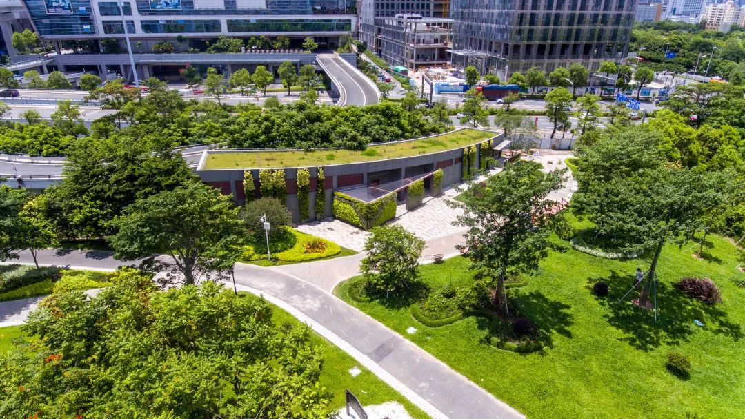 [春节留深]龙华游园攻略之民治街道篇