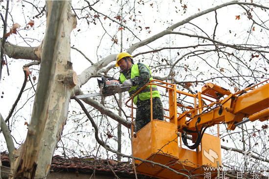 洪山园林绿色服务进社区助力老旧小区焕新颜