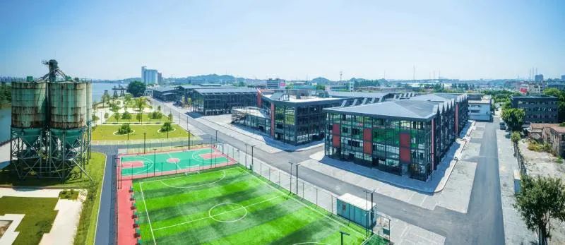 花城政能量丨有干货！海珠区这么做，村民经济效益大提升